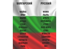 Переводчик французского и итальянского и другие языки с нотариальным заверением