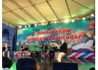 Рекламное агентство широкого цикла Promo