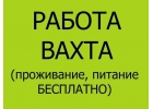 Разнорабочий на вахту