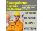 Строительная бригада выполняет все виды работ от рабочего до мастера